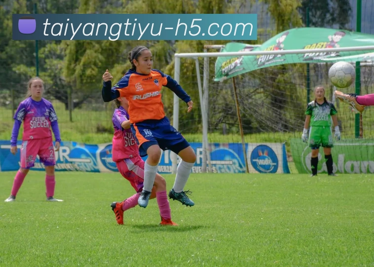 App Interface Preview