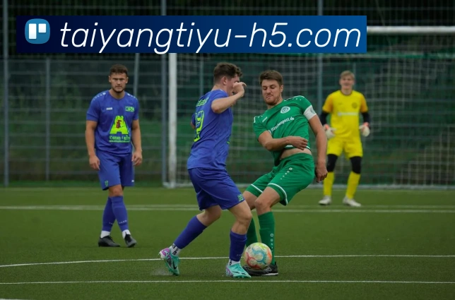 太阳城APP 封面图